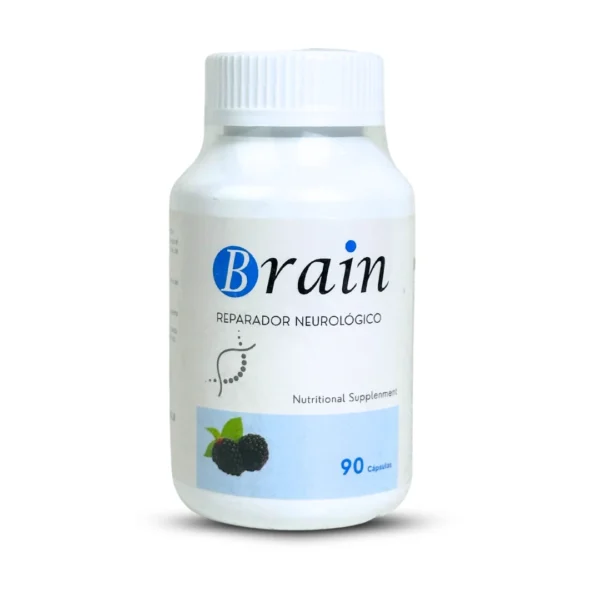 Brain - Sistema Nervioso